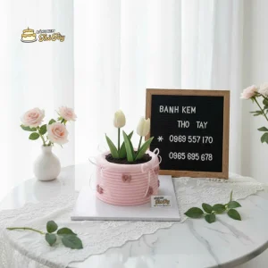 Bánh kem chậu hoa tulip