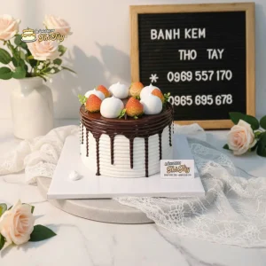 Bánh kem socola mini