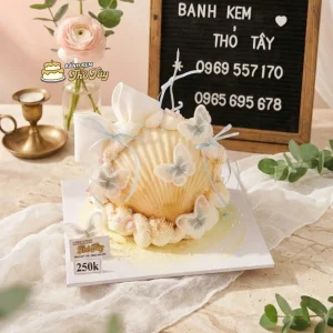 Bánh kem vỏ sò